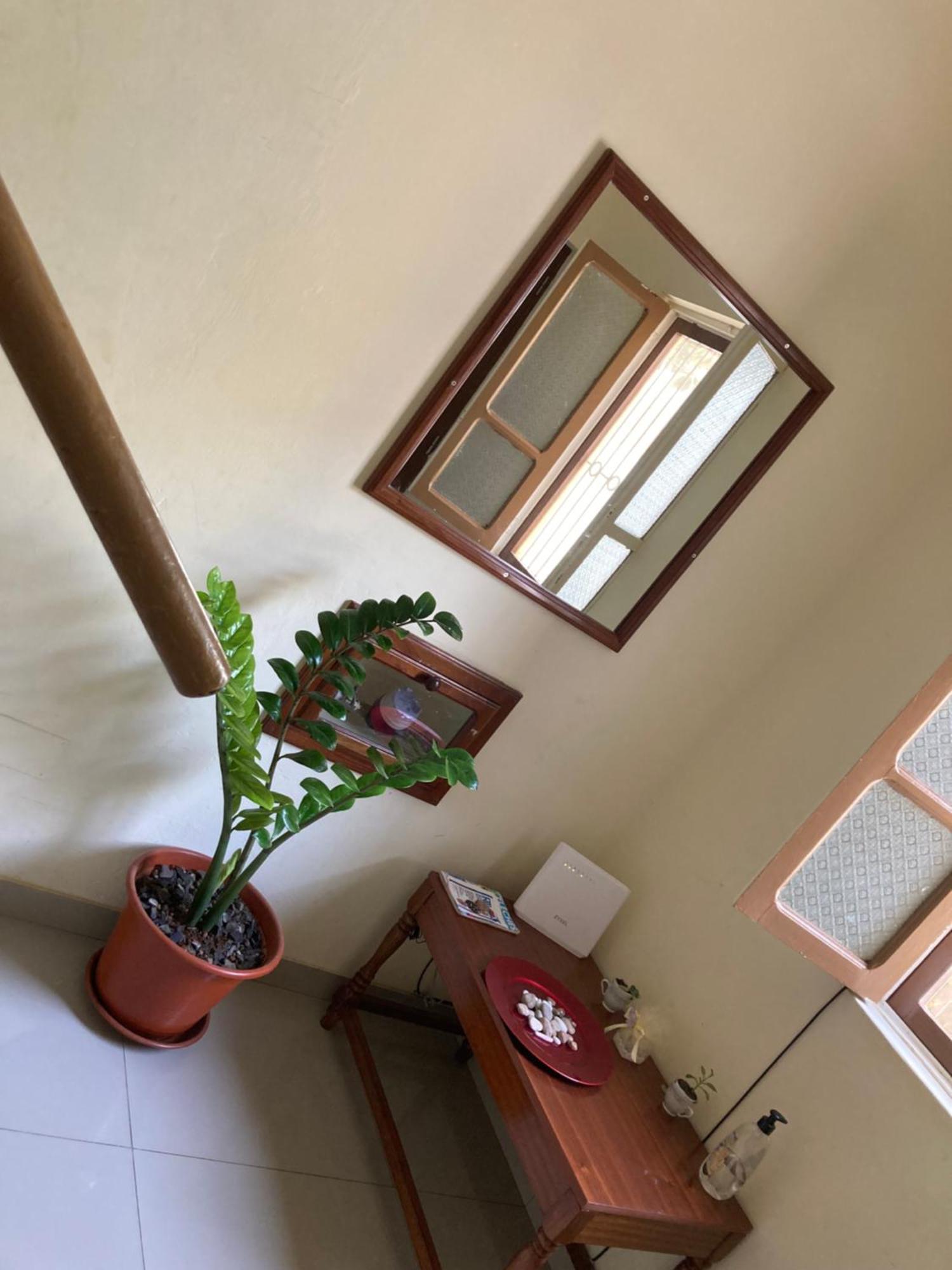 Constanca Retreat Bed and Breakfast Mindelo Eksteriør billede